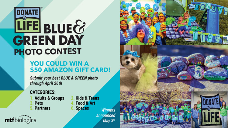 Blue and Green Photo Contest